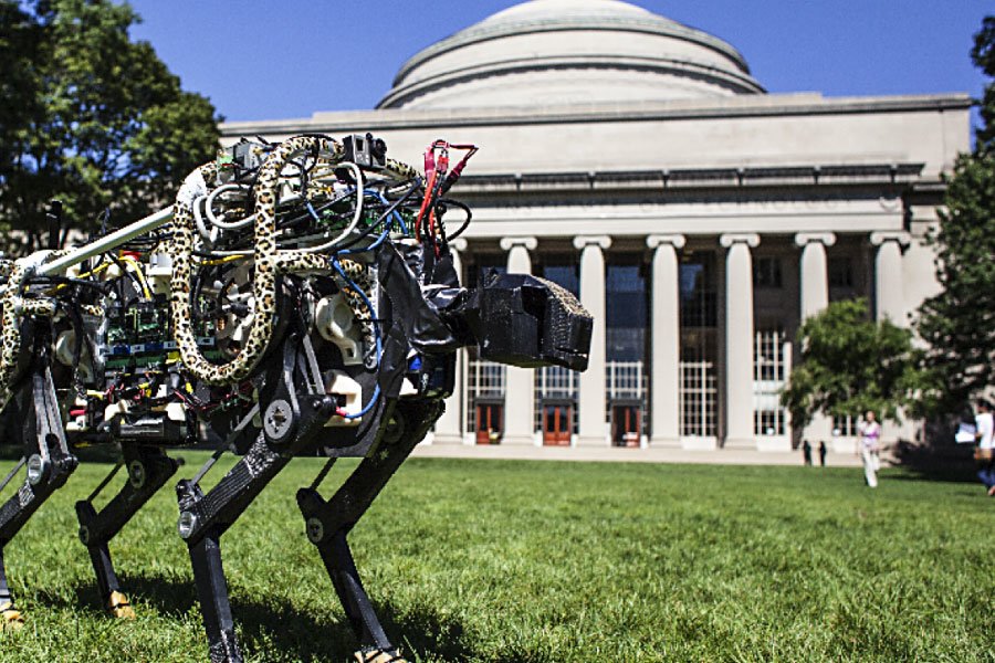 mit_j-900x600.jpg